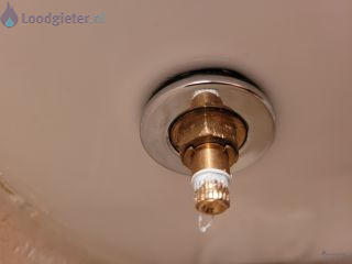 Loodgieter Bidet Lekkage bidetkraan