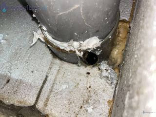 Loodgieter Reparatie riool Gat in riolering geboord