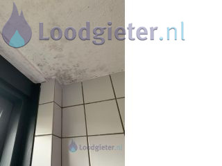 Loodgieter Dakdekker Daklekkage