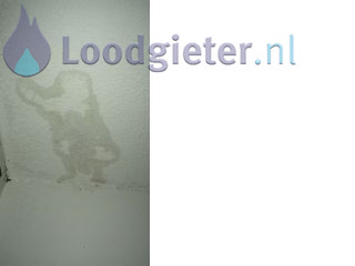 Loodgieter Houten Lekkage repareren