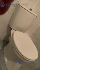 Loodgieter Installatie Toilet Verhoogde toilet plaatsen