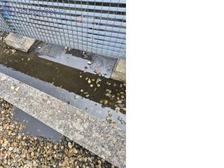 Loodgieter Dakdekker Ingangen Pluvia systeem opnieuw branden