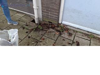 Loodgieter Delft Verzakkingen en sinkholes