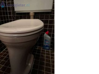 Loodgieter Toilet vervangen 2 toiletpotten vervangen
