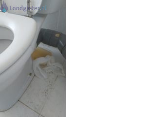 Loodgieter Toilet vervangen Duoblok toilet vervangen