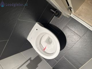 Loodgieter WC bril vervangen Wc bril monteren