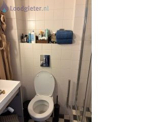 Loodgieter WC wc spoelknop doet het niet