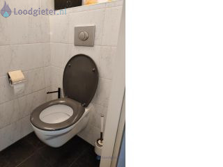Loodgieter Toilet renovatie vervangen toiletpot
